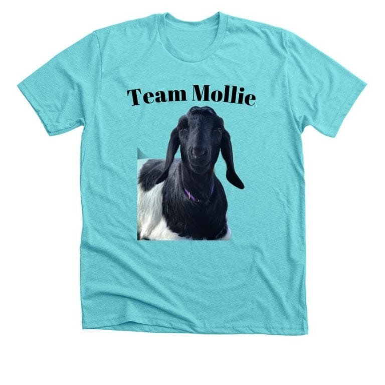 Mollie shirt
